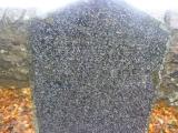 image of grave number 711099